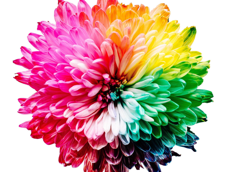 Psychologie des couleurs appliquée aux porte-cartes et portefeuilles